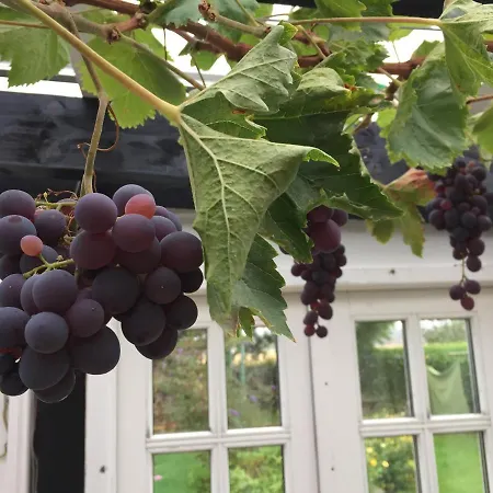 בית הארחה Revninge Guesthouse