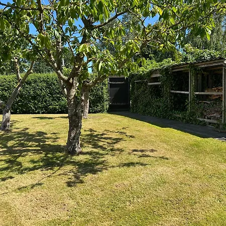 Revninge Guesthouse *